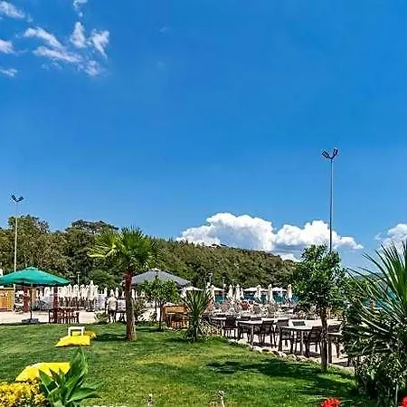 Iskelem اكياكا